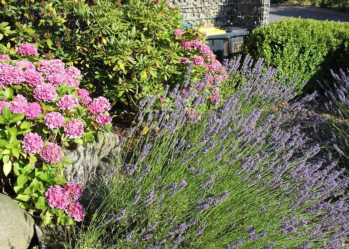 Apartamento Stoertebeker